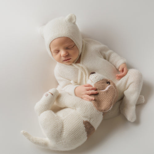 Cashmere Beagle Puppy