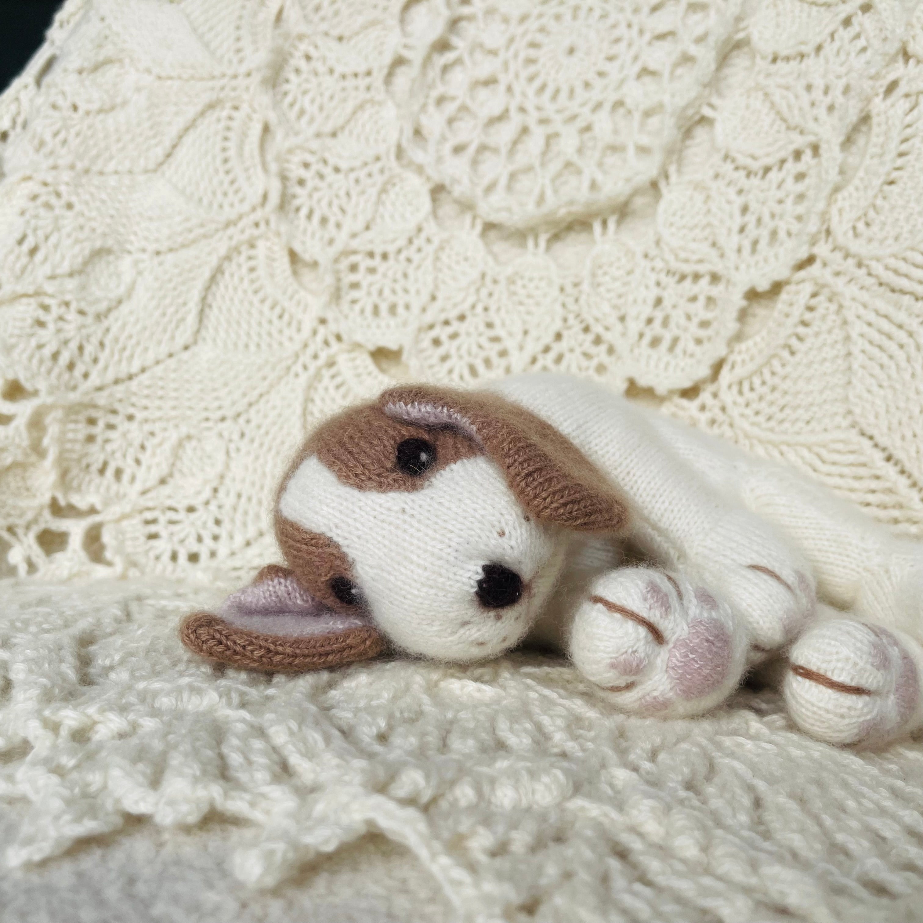 Cashmere Beagle Puppy